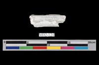 藏品(石棉)的圖片